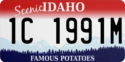 ID license plate 1C1991M