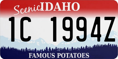 ID license plate 1C1994Z
