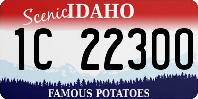 ID license plate 1C2230O