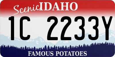 ID license plate 1C2233Y