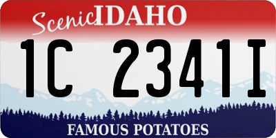 ID license plate 1C2341I