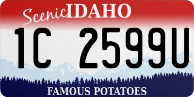ID license plate 1C2599U