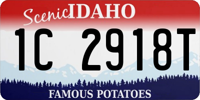 ID license plate 1C2918T