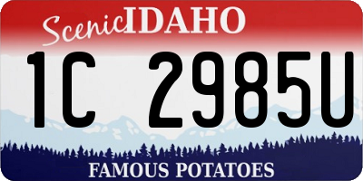 ID license plate 1C2985U