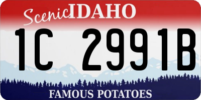 ID license plate 1C2991B