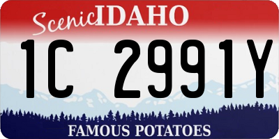 ID license plate 1C2991Y