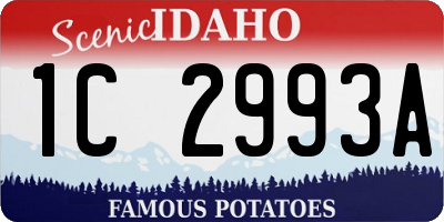 ID license plate 1C2993A