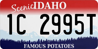 ID license plate 1C2995T