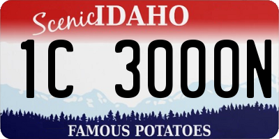 ID license plate 1C3000N