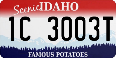 ID license plate 1C3003T