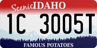 ID license plate 1C3005T