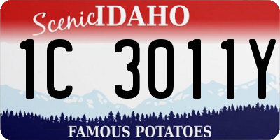 ID license plate 1C3011Y