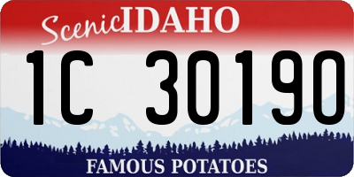 ID license plate 1C3019O