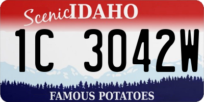 ID license plate 1C3042W
