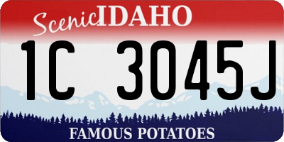 ID license plate 1C3045J