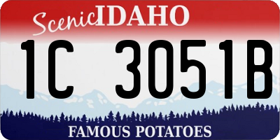 ID license plate 1C3051B