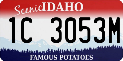 ID license plate 1C3053M