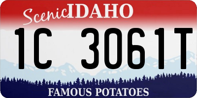 ID license plate 1C3061T