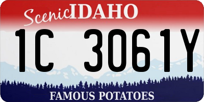 ID license plate 1C3061Y