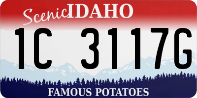 ID license plate 1C3117G