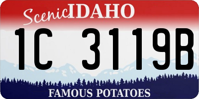 ID license plate 1C3119B