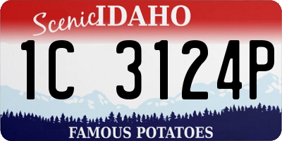 ID license plate 1C3124P