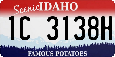 ID license plate 1C3138H