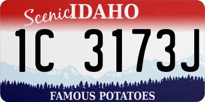 ID license plate 1C3173J