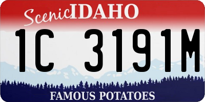 ID license plate 1C3191M