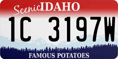 ID license plate 1C3197W
