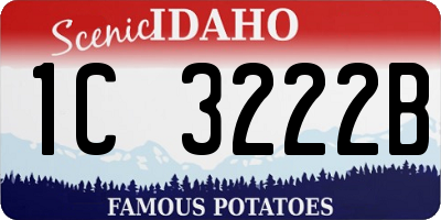 ID license plate 1C3222B
