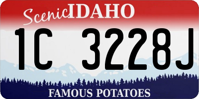 ID license plate 1C3228J