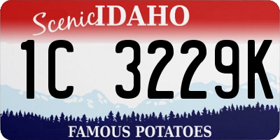 ID license plate 1C3229K