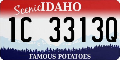 ID license plate 1C3313Q