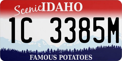 ID license plate 1C3385M