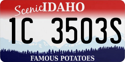 ID license plate 1C3503S