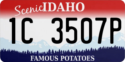 ID license plate 1C3507P