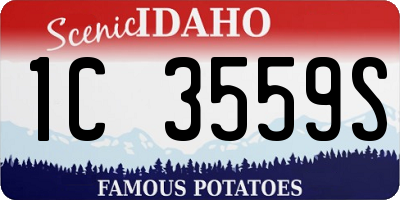 ID license plate 1C3559S
