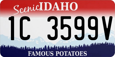 ID license plate 1C3599V