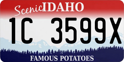 ID license plate 1C3599X