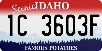 ID license plate 1C3603F
