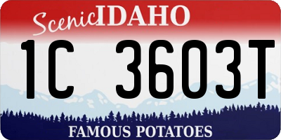 ID license plate 1C3603T