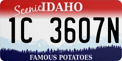 ID license plate 1C3607N