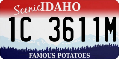 ID license plate 1C3611M
