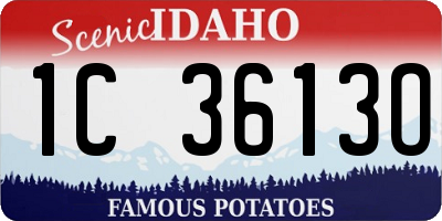 ID license plate 1C3613O