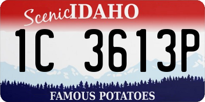 ID license plate 1C3613P