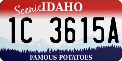 ID license plate 1C3615A