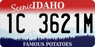 ID license plate 1C3621M
