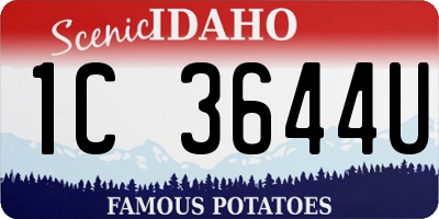 ID license plate 1C3644U