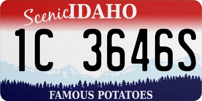 ID license plate 1C3646S